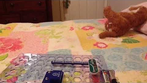 Alex Demonstrates Snap Circuits Jr. SC-100 Electronics Discovery Kit
