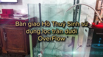 Bàn Giao Hồ sử dụng lọc tràn dưới hệ thống OverFlow cho anh trai Ở Long An