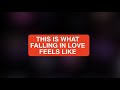 JVKE - This is What Falling in Love Feels Like [Official Lyric Video]