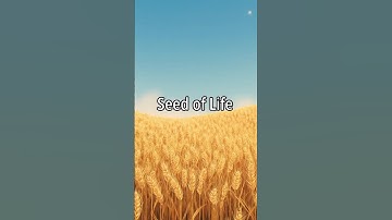 The Seed Of Life #lifelessons #wisdom #story #motivational #shorts