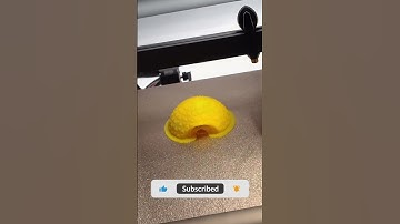 Squishy Turtle | 3D Print | Time-lapse