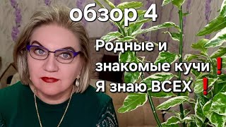 картинка: Родные и знакомые кучи❗️Я знаю ВСЕХ❗️