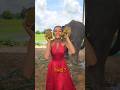 Catching Elephant Poo!😱