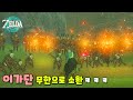 이가단 100명 소환해서 젤다 무쌍하기ㅋㅋㅋ : 젤다 왕눈