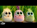 J.Geco - Chicken Song / The Angry Birds ( Music Video HD)