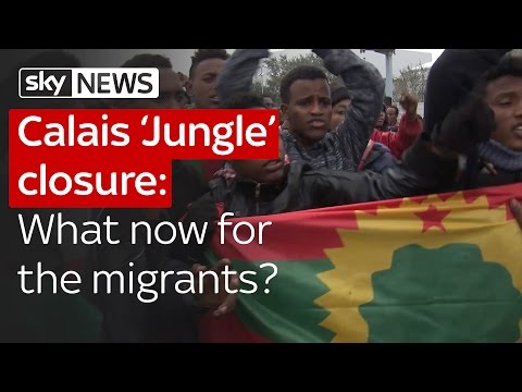 Calais 'Jungle' closure: What now for the migrants?