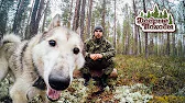 Добрые походы - Лесная Жизнь, Избы, Тайга