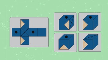 IQ test | Genius, answer which cube is correct
