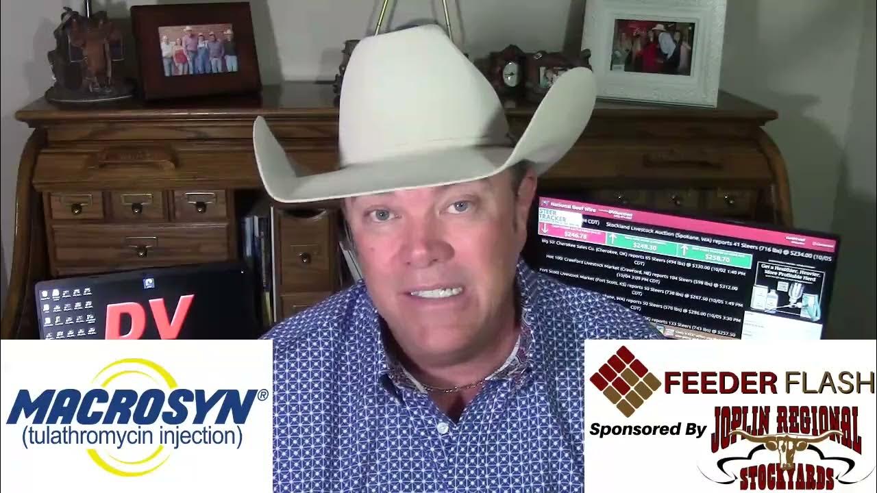 Feeder Flash 10/7: Freedom Rally - YouTube