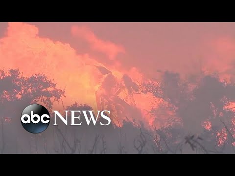 California’s Bobcat fire explodes in size