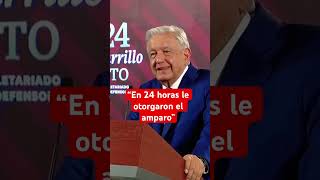 AMLO informa la decisión de un juez de otorgar un amparo a María Amparo Casar