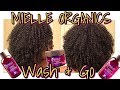 First Impressions Wash & Go + Review | The NEW Mielle Organics Pomegranate and Honey Collection