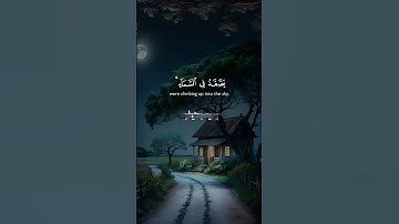 سورة الأنعام #اكسبلور #دويتو #الرحمن #duet #قران_كريم #راحة_نفسية #حالات_واتس #تيك_توك #لايك