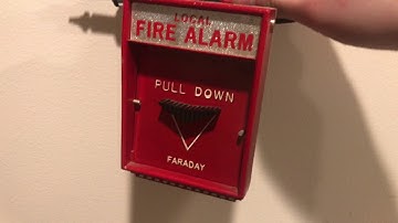 Notifier AFP-200 Test 5: Warble