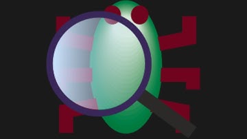 Free Pascal Debugger