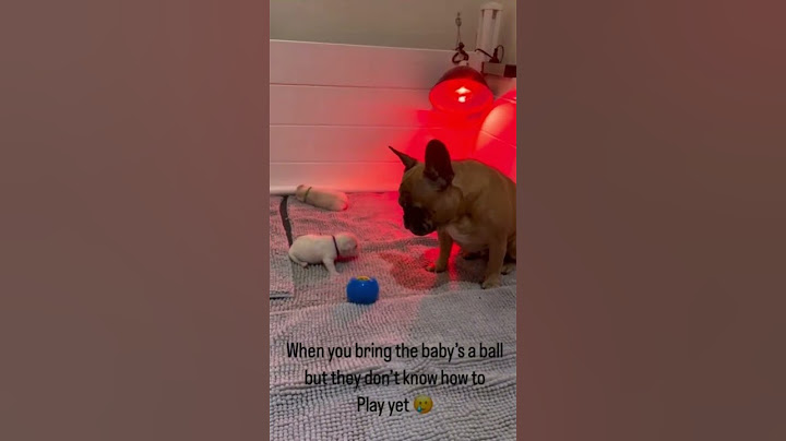 He just wanted to play with his kid 🥺