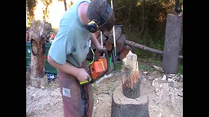 Quick Carve Chainsaw Bear in Stump