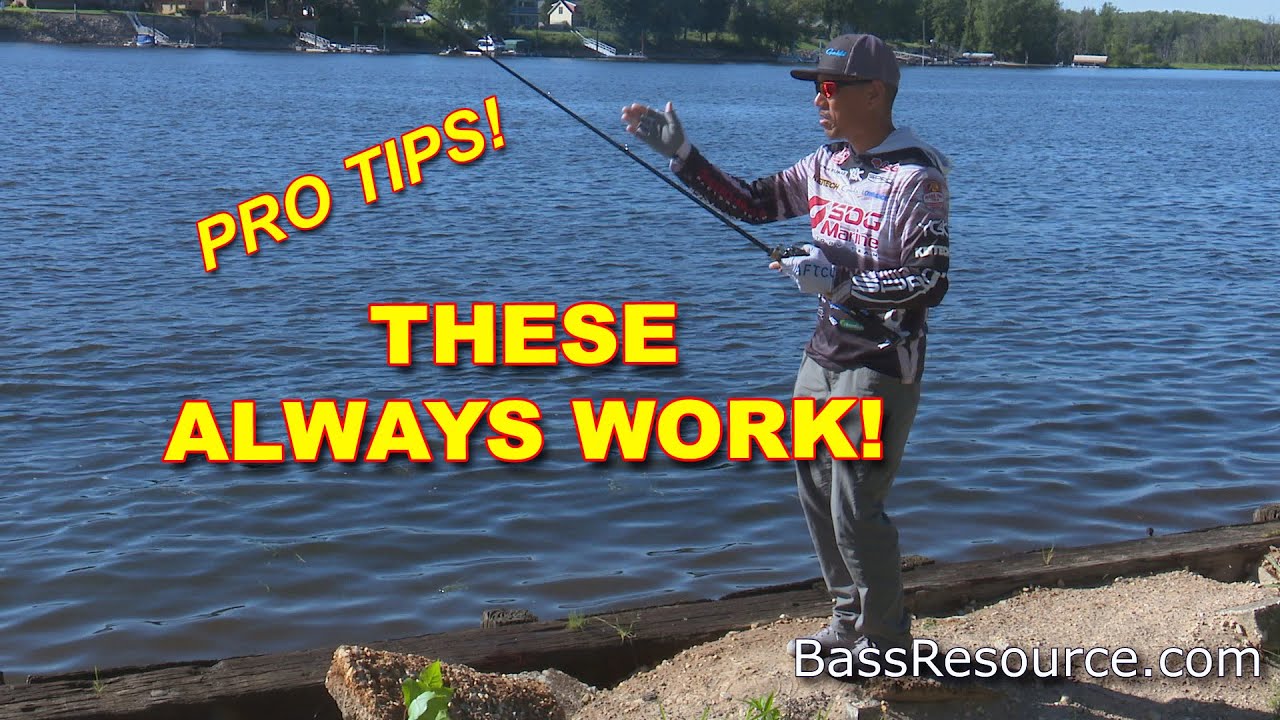 A Beginner's Guide to Paddle Tail Swimbaits - Wired2Fish