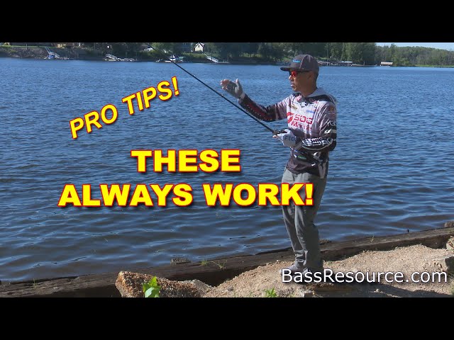 Fishing Paddle Tail Swimbaits From The Bank, How To