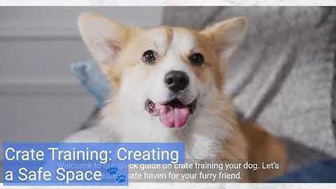 Crate Training: Creating a Safe Space