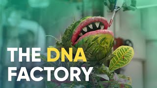 How Ginkgo Bioworks is Hacking DNA | Company Analysis