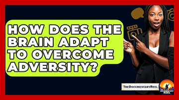 How Does The Brain Adapt To Overcome Adversity? - The Documentary Reel
