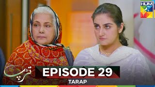 Download Lagu Tarap Episode 29 MP3 Download Lagu Tarap Episode 29 MP3