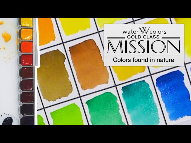 Mijello Mission Gold Watercolor  First Impression/Unboxing 