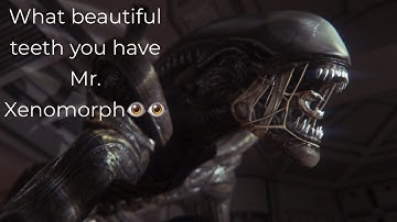 Meeting mr xenomorph: Alien isolation part 2