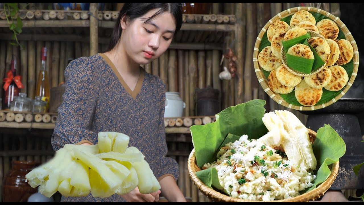 Cassava Sticky Rice Cassava Harvest - Making Cassava Fried Cakes, Cassava Sticky Rice ...
