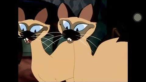 Animash//🥤Cola Song🥤