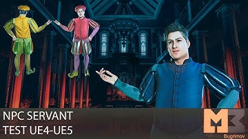 NPC Servant Test Epic Skeleton In UE4 UE5