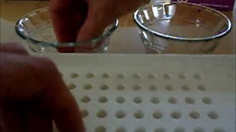 Filling capsules with the Cap-m-Quik