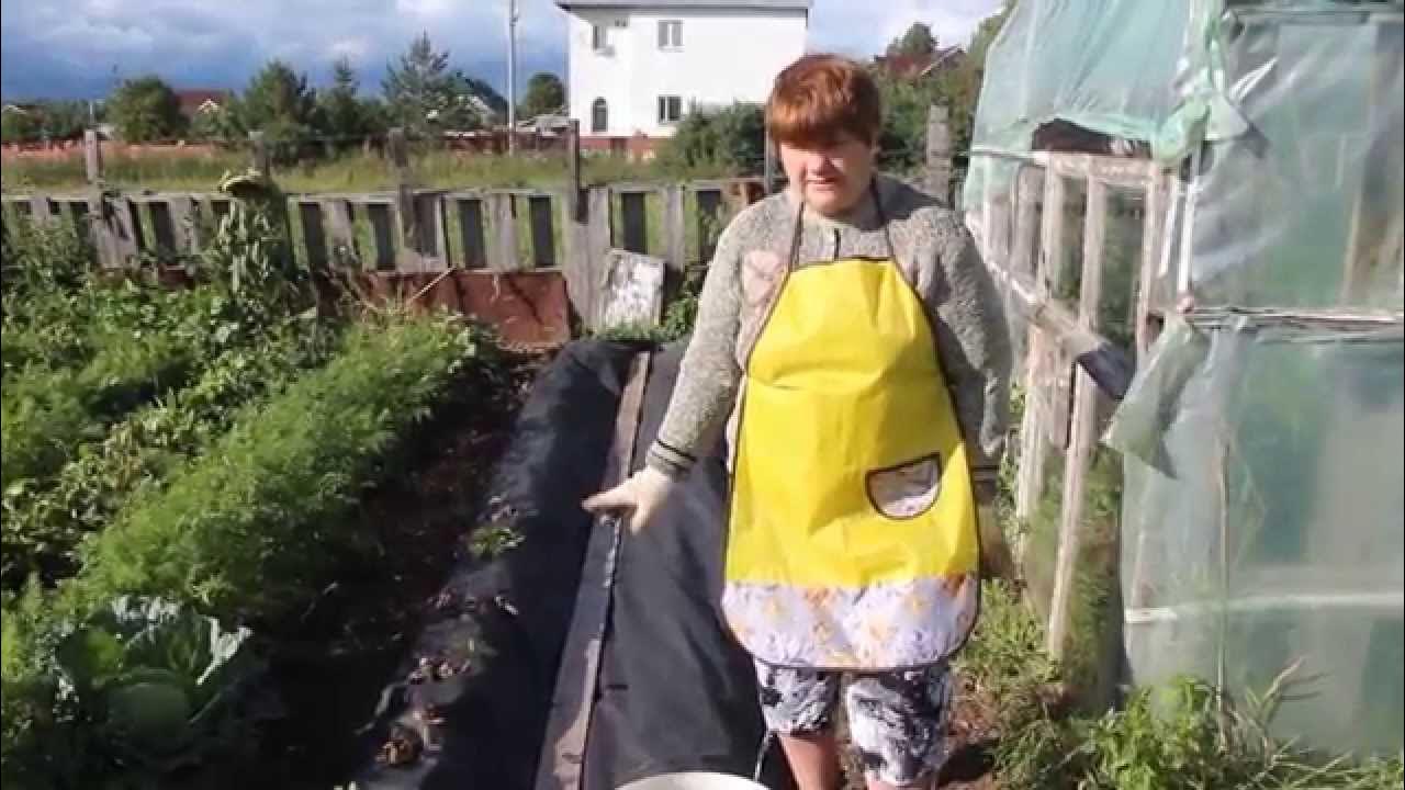 Посадка клубники в нетканый укрывной материал. - YouTube