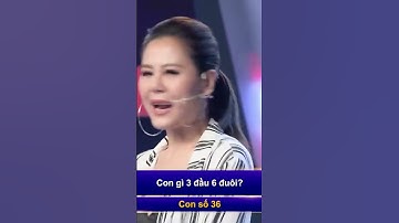 Trí Lực Sánh Đôi | Khán giả CƯỜI NGẤT với câu trả lời của Nam Thư #tlsd