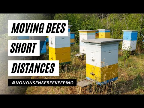 How To Move