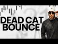 The Dead Cat Bounce // White Board Sessions With Oliver Velez