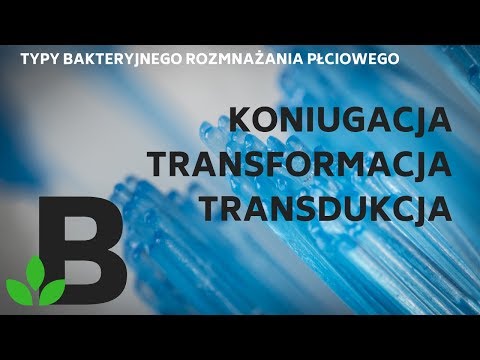 Wideo: Różnica Między Transformacją A Transdukcją