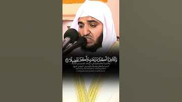 تلاوة خاشعة تطمئن لها القلوب ❤                      #القرآن_الكريم #تلاوة_خاشعة #تلاوة_هادئة