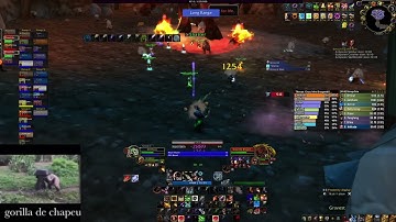 (Almost) Perfect Gruul - Enthozz - 2558.9 DPS - Rank 2 World BM Hunter