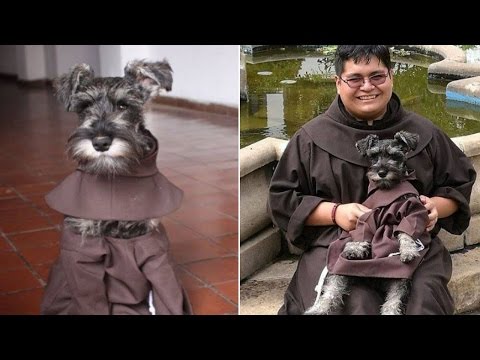 Video: Pet Scoop: Friar Dog at Monastery krijgt zijn eigen kleed, opgewonden hond herenigd met Airman