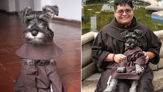 Monastery Makes New Dog An Honorary Friar To Encourage More Pet Adoptions