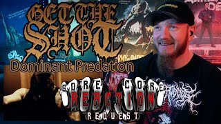 Reaction | Get The Shot - Dominant Predation | [Request]