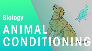 Animal Conditioning | Ecology & Environment | Biology | FuseSchool