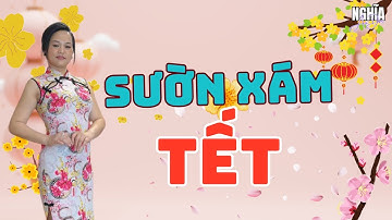 Sườn Xám Cho Dịp Tết: Gợi Ý Trang Phục Đẹp Và May Mắn! Áo Dài Nghĩa