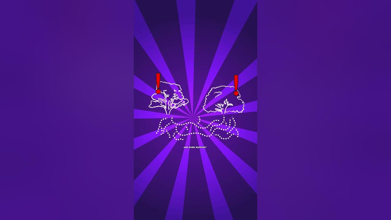 How Do Trees Communicate? facts interestingfacts biology nature 