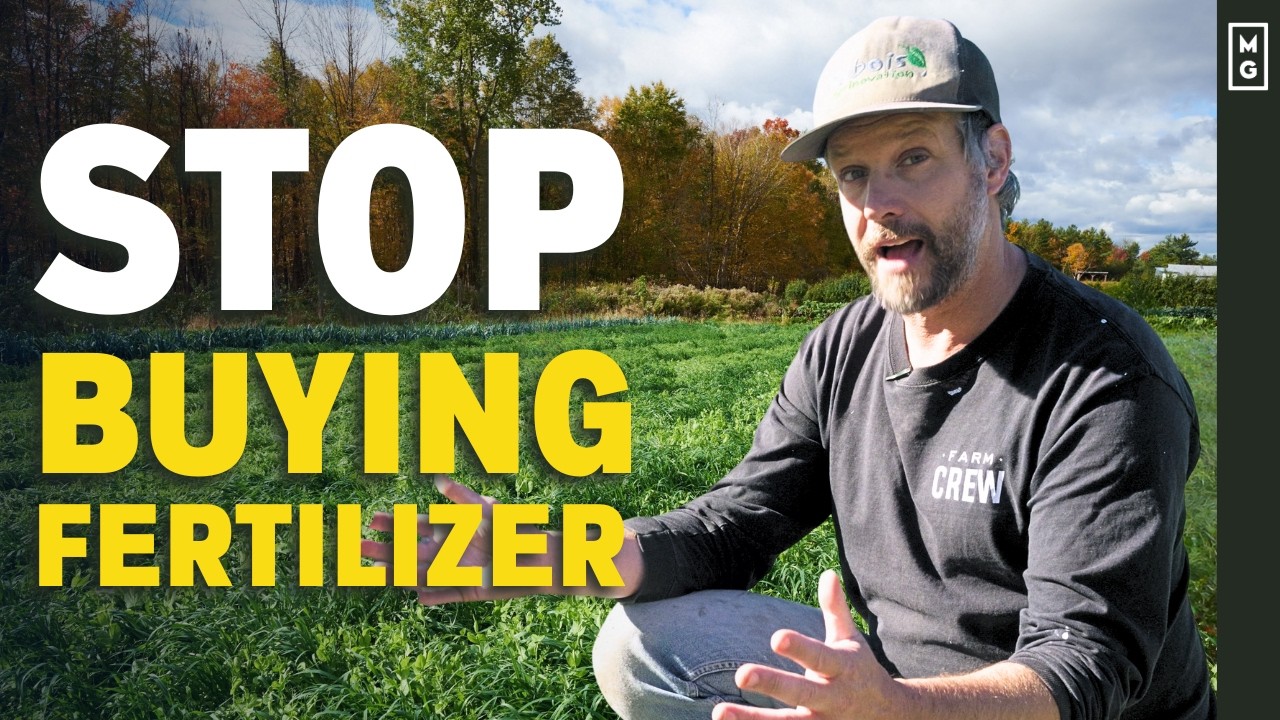 Почему вам НУЖНЫ покровные культуры в вашем огороде | Выращивайте удобрение самостоятельно!