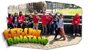 WISATA KE KEBUN BINATANG RAGUNAN BERSAMA TEMAN-TEMAN SEKOLAH