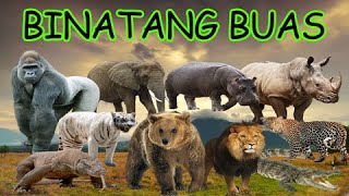 NAMA-NAMA BINATANG BUAS | HEWAN BUAS | WILD ANIMALS