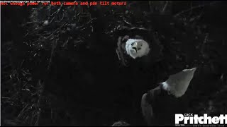 SWFL Eagles ~ AMAZING M15 THWARTS & PREEMPTS AN OWL STRIKE! Gives Chase &  Returns To Nest! 11.4.22